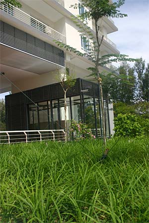 11 gurney penang