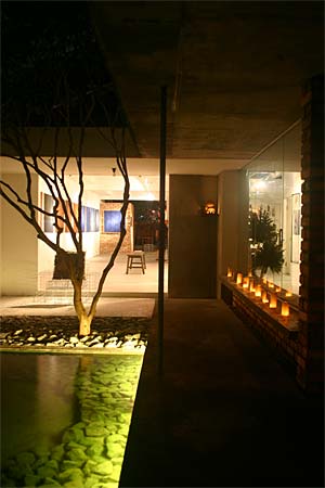 67 Tempinis Gallery
